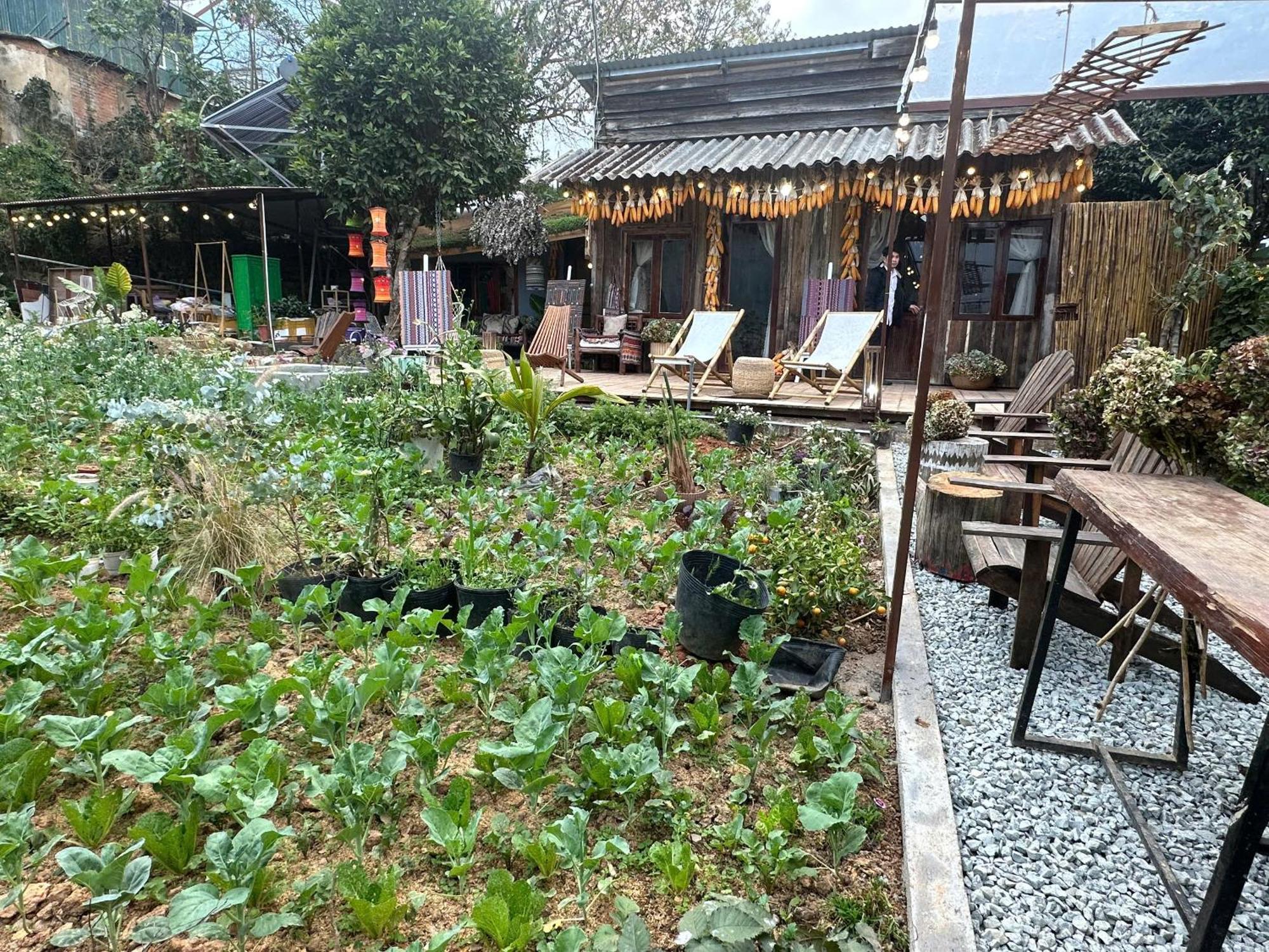 Hotel Lang Ko Ho Da Lat Dış mekan fotoğraf